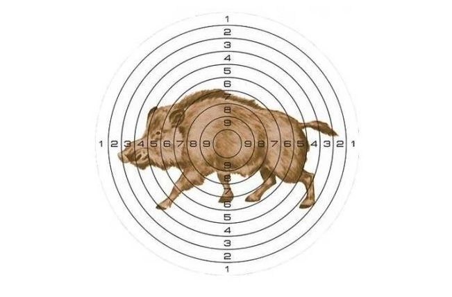 Мишень Кабан (140х140)