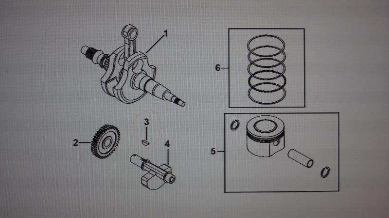 Шпонка 24х14х4 РМ 500 (925234)