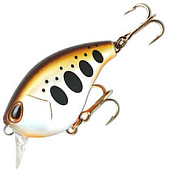  STORM GOMOKU Crank Shallow 38 /TR