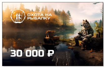 Подарочный сертификат 30000руб.  Подарочный сертификат 30000руб.