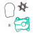 Ремкомплект помпы Skipper Honda SK06192-ZV5-003 (BF35, BF40, BF45, BF50, BF60) Ремкомплект помпы Skipper Honda SK06192-ZV5-003 (BF35, BF40, BF45, BF50, BF60)