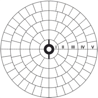 Мишень стодольная  Мишень стодольная