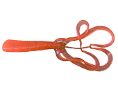 ������� SPLIT DOUBLE TAIL 103�� (�������. ���������) (��. 6��)