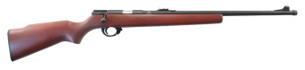 ������� Armscor M14 22LR