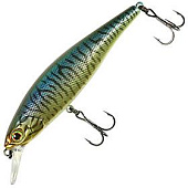  JACKALL Squad Minnow 80 hl bronze blue pike