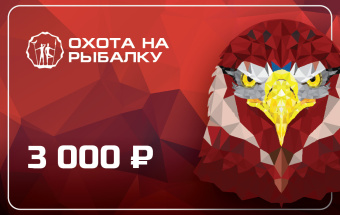 ���������� ���������� 3000���. 