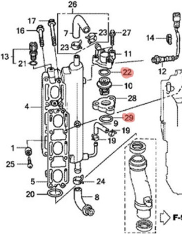 ������� Honda 31.5 X2.4 (91356-SD4-952)