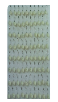 �������� ������.  �61 (�����) 6