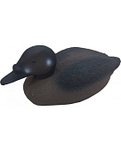 ������ ������ ����������-����