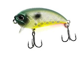  Namazu Tug Fat, L-50, 8 , ,  (0-0,5),  16