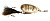  . DAM Effzett Standart Spinner Dressed 12 - #5 - Gold 60559