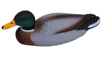 ������ ������-�������� (������)