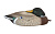   Sport Plast (,  , ) VBS 01