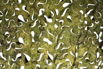 ���� ������������� �������� ����� 1,5 � 3,0 �