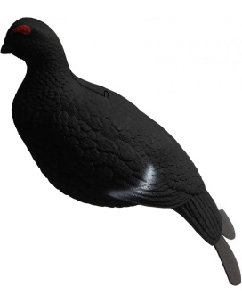 ������ �������