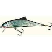  Salmo Skinner F 10/RGS