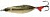 ������ ���. HUDO-S SSHS057-01 02 20g(�.�)