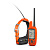 ��������� ��� ����� � ������� Garmin Alpha 50 (������� T5)