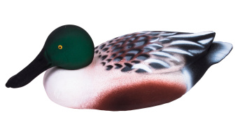 ������ �����������-��������