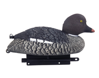 ������ ������ ���� SGU (North Way)