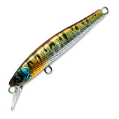  Cultiva CT Minnow 55F  08, 55 ., 2,6