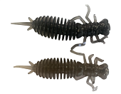 - LARVA 64 (.   .) (. 8)