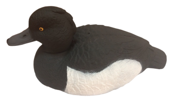 ������ �������� �������-�������� (������)