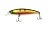  Namazu Anger Long, L-97, 13,5, ,  (0,5-1,5),  17