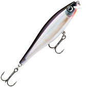  RAPALA BX Minnow 10 /PDS