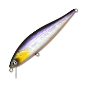  PONTOON 21 P21-BAM-102F-SR-A11