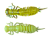 - LARVA 64 (.   .) (. 8)