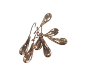 �������� ������ ����� � ���. �.5��. ���� (������)