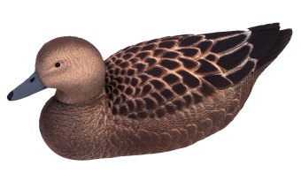 ������ ������-���� (������)