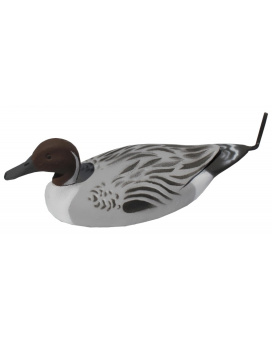 ������ ����������-��������