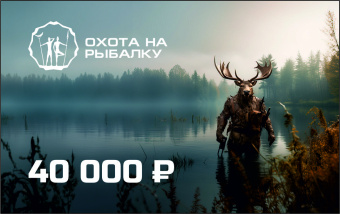 Подарочный сертификат 40000руб.  Подарочный сертификат 40000руб.