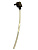     Ceredi (10249251)